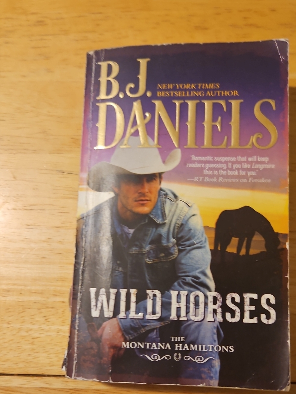 B.J. Daniels Wild Horses Paperback Novel